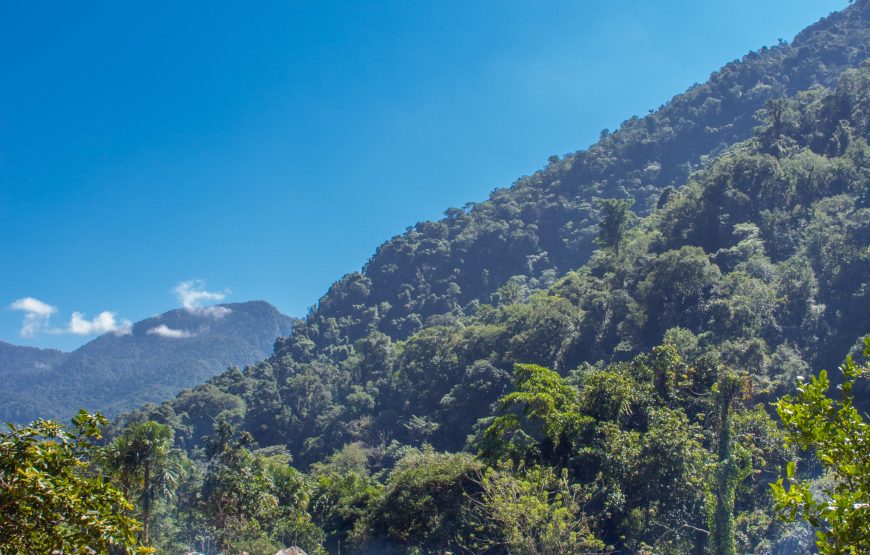 Tour Ciudad Perdida 5 Días desde Santa Marta