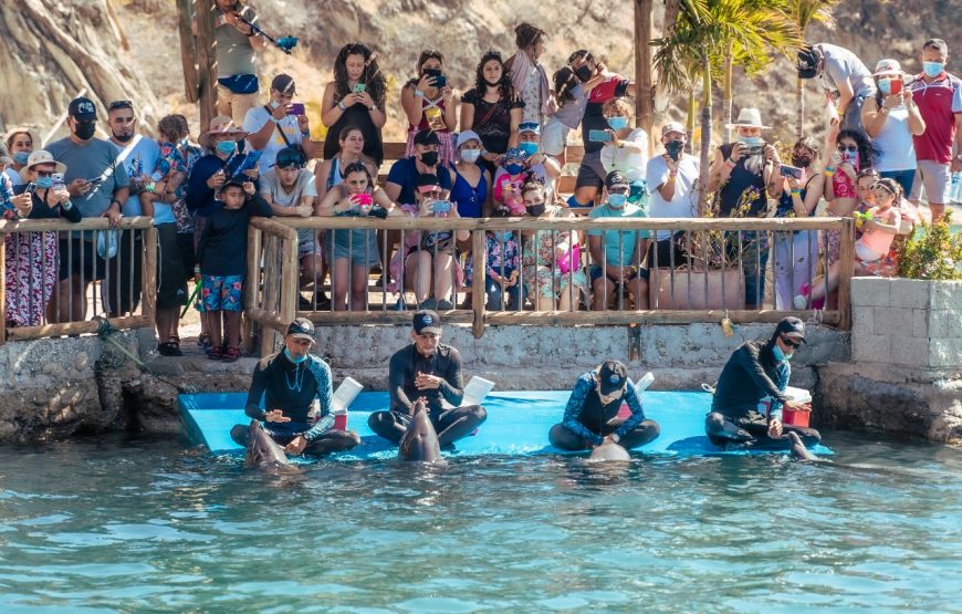 Tour Acuario y Playa Blanca Completo con Show de Delfines