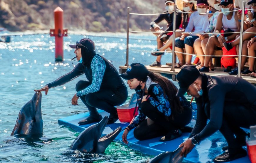 Tour Acuario y Playa Blanca Completo con Show de Delfines