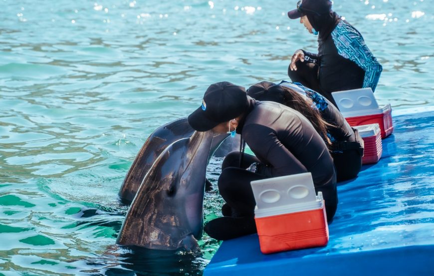 Tour Por Las Playas En Katamaran Con Acuario Santa Marta