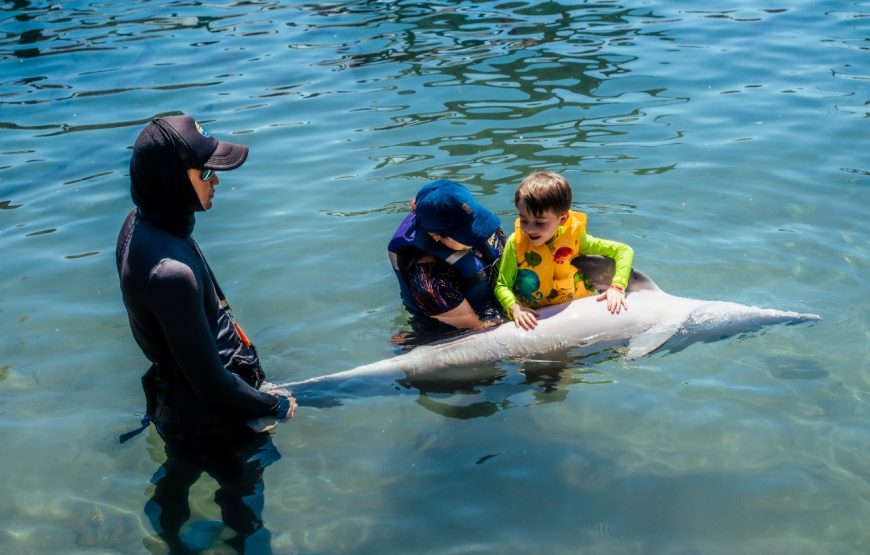 Acuario y Playa Blanca con Interacción con Delfines Por 5 Minutos Santa Marta