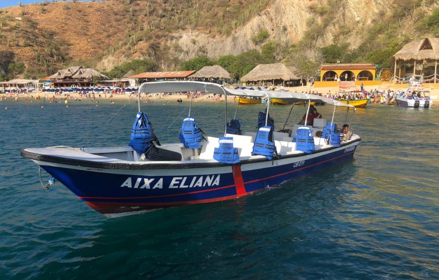 Acuario y Playa Blanca Completo con 1 Trayecto CANOPY y Show de Delfines