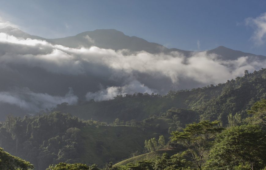 Tour Ciudad Perdida 5 Días desde Santa Marta