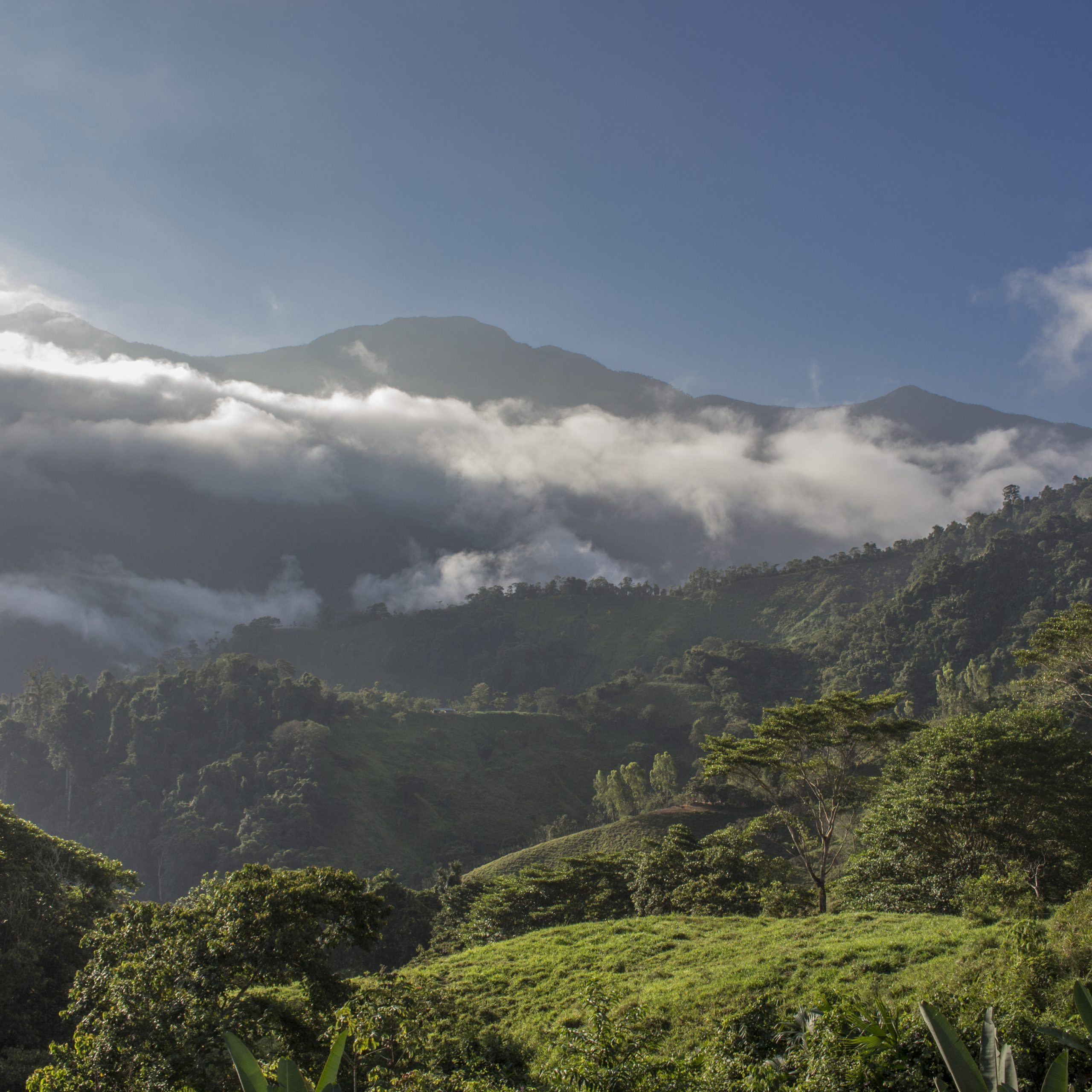 Montañas Ciudad Perdida
