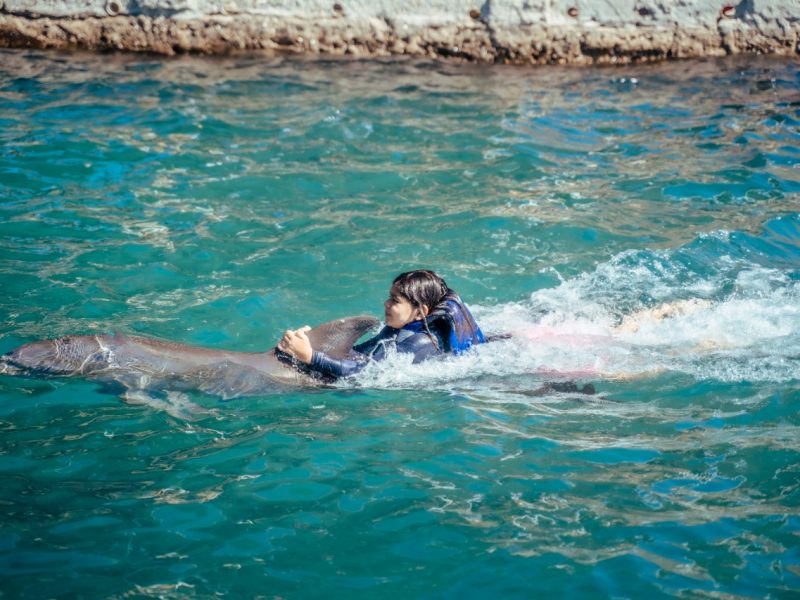 Nado Con Delfines Acuario Santa Marta