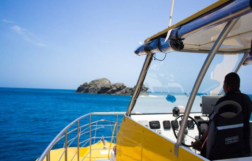 Tour Acuario y Playa Blanca Completo con Show de Delfines