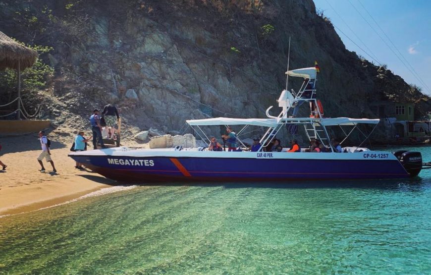 Acuario y Playa Blanca Completo con 1 Trayecto CANOPY y Show de Delfines