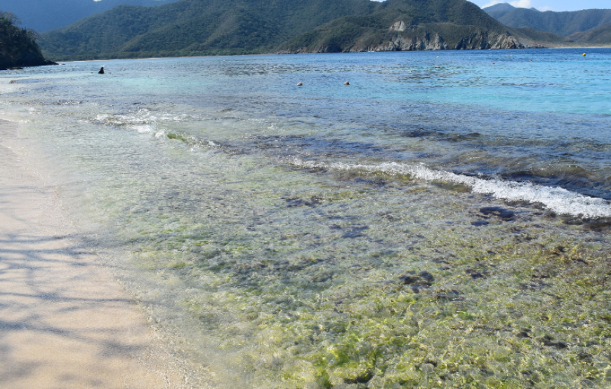 Tour a Playa Cristal en el Parque Tayrona – Terrestre