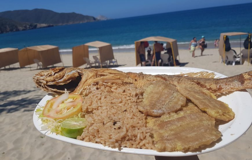 Tour Bahía Concha sin Almuerzo