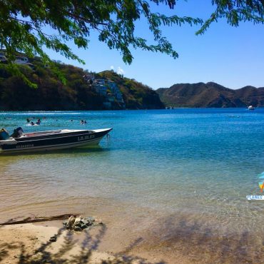 Taganga