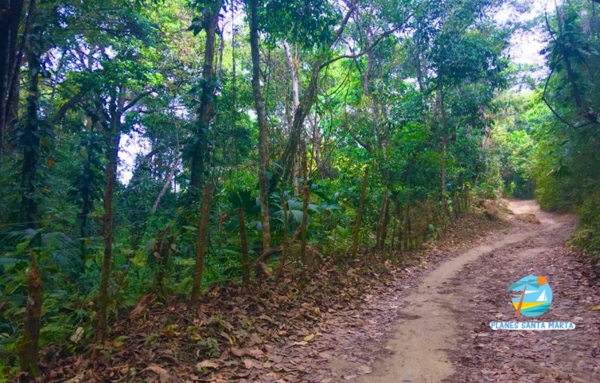 Tour a Minca, Playa Taganga y Playa Grande con Todo Incluido