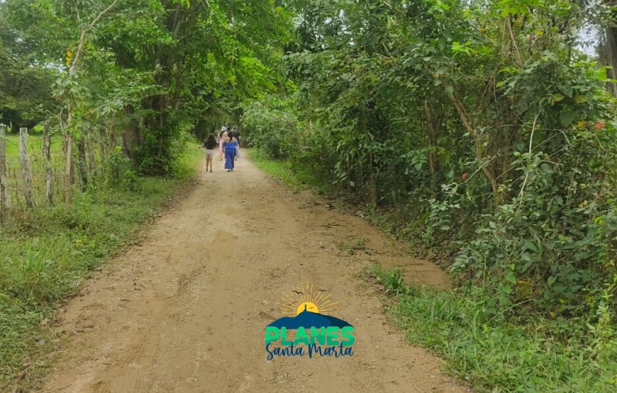Tour Palomino: Un Paraiso con Rio y Playa