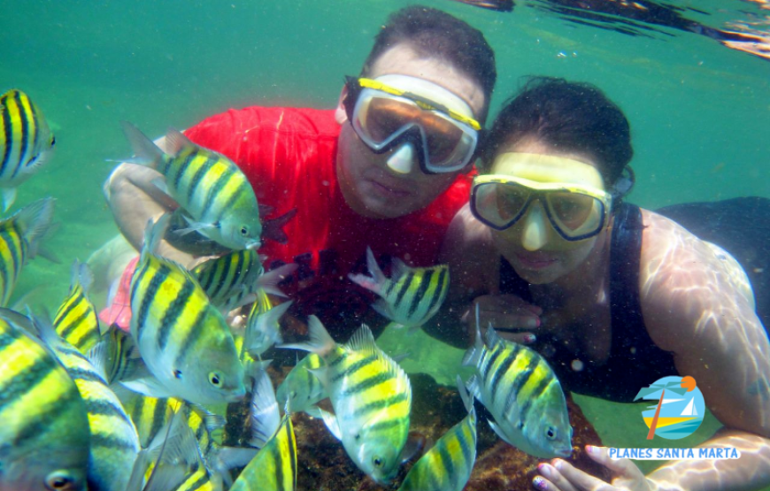 Tour a Bahía Concha con Careteo