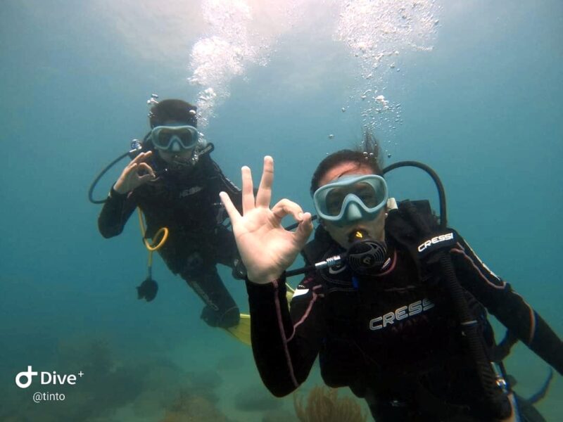 Minicurso De Buceo En Santa Marta – Doble Inmersión