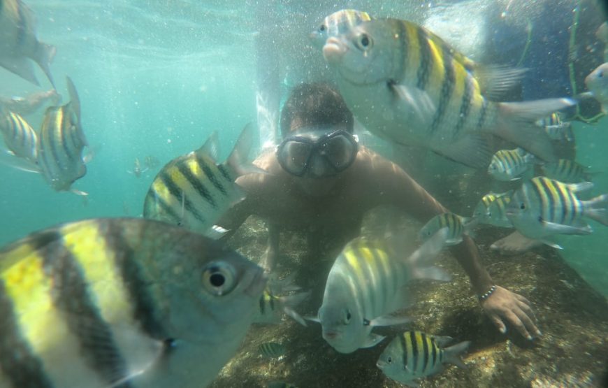 Tour Taganga y Playa Grande con Careteo Incluido