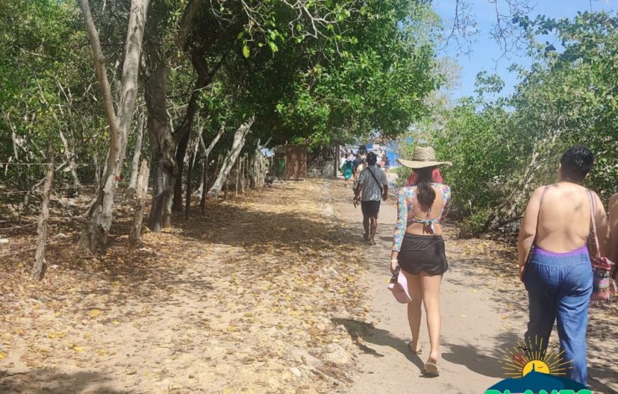 Tour a Cartagena (Playa Blanca/Barú + Centro Histórico) desde Santa Marta