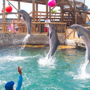 acuario playa blanca santa marta