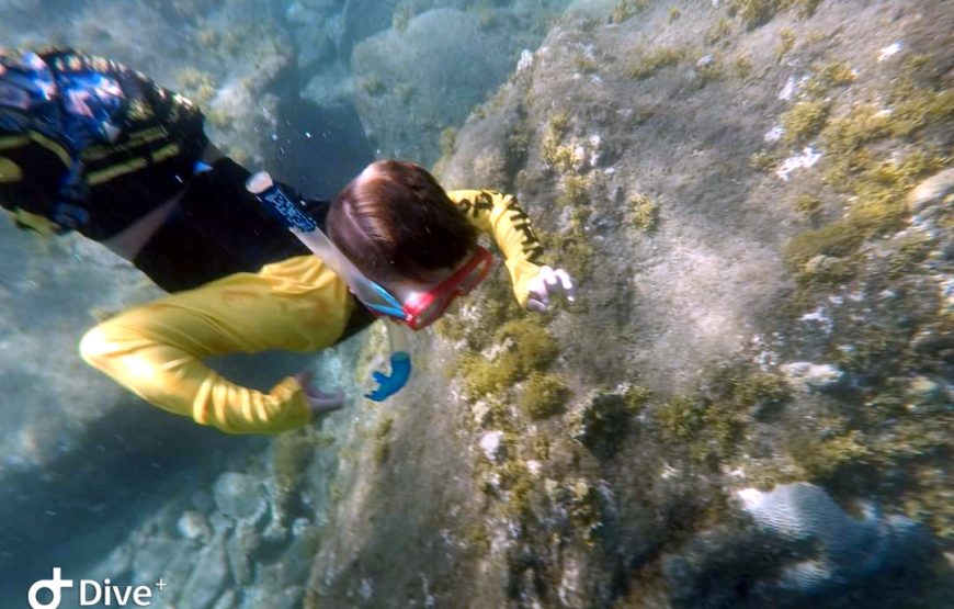Snorkel en Santa Marta (Careteo) – Medio Día