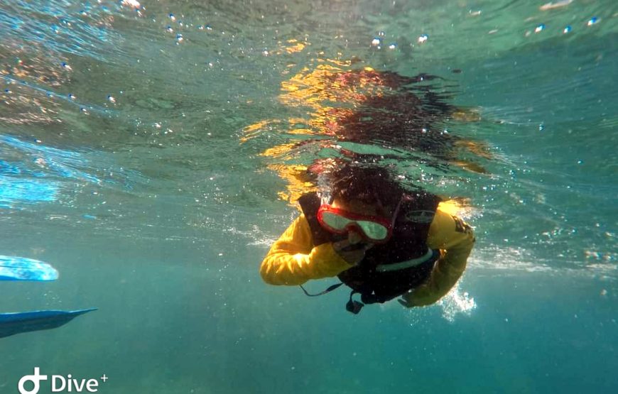 Snorkel en Santa Marta (Careteo) – Medio Día