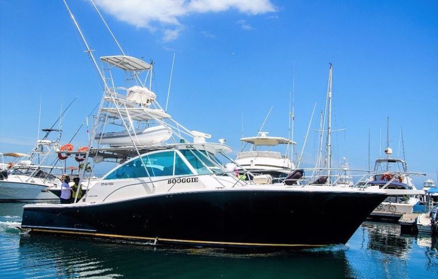 Yate Santa Marta REF. BGG Capacidad 22 Personas