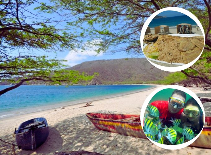 Tour Bahía Concha careteo y almuerzo