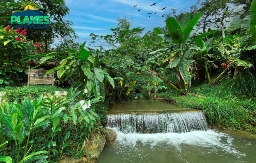 Tour a las Cascadas de Marinka y Finca Victoria