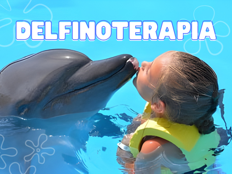 Delfinoterapia en Santa Marta